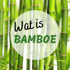 Wat is bamboe?