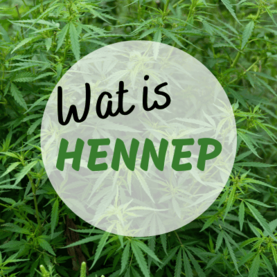 Wat is hennep?