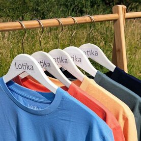 Lotika basics Lotika basics