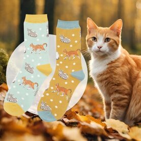 Sokken met katten