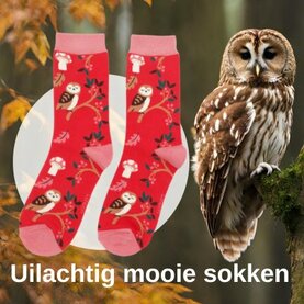 Sokken met vogels