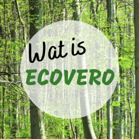 Wat is EcoVero?