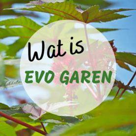 Wat is EVO garen?