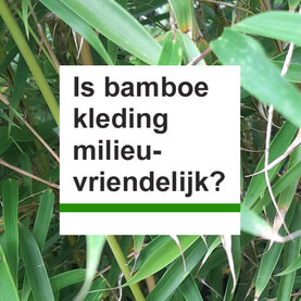 Is bamboe kleding volledig milieuvriendelijk