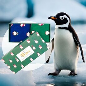 Sokken met pinguïns