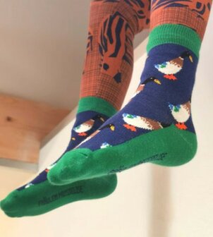 sokken met eend