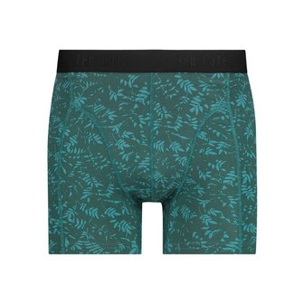 boxershorts into the woods