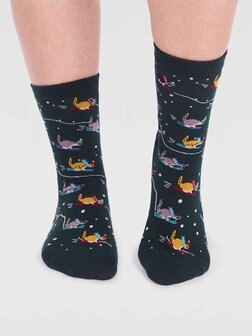 sokken megt skiënde katten