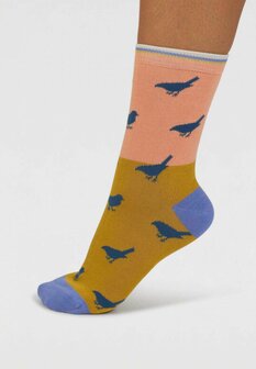 sokken met vogeltjes
