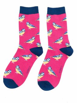 sokken met vogels pimpelmees