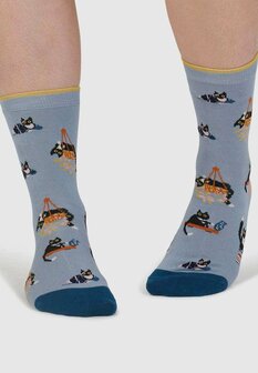 sokken met katten