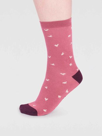 sokken met wren birds