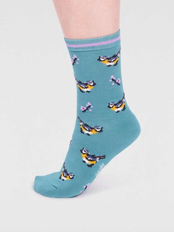 sokken birds