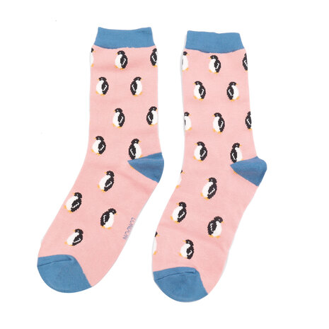 Pinguïns sokken