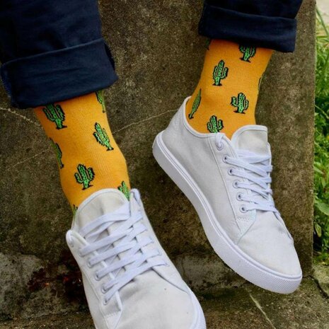sokken met cactussen