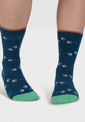 blauwe sokken katten