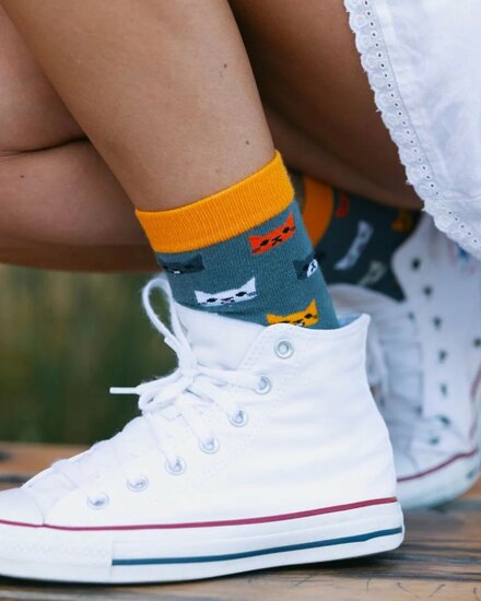 Swole Panda socks cats