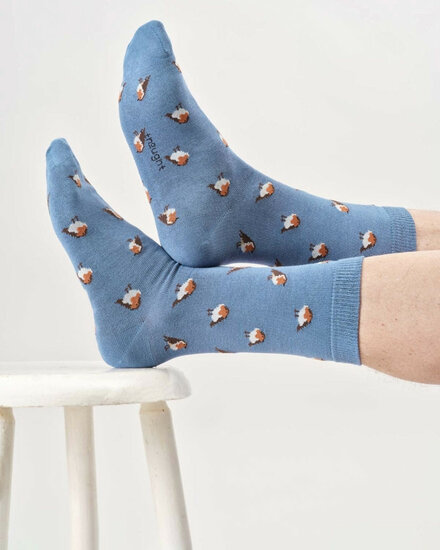 blauwe sokken roodborstjes