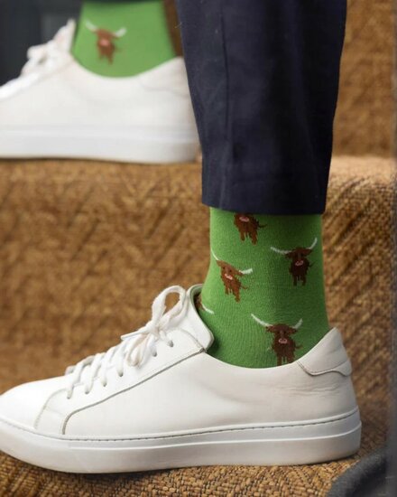 groene sokken highland cow