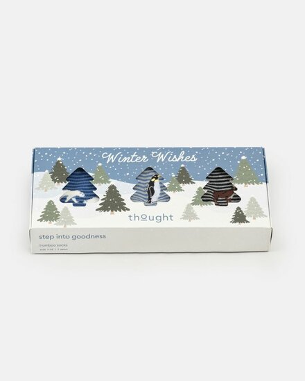 heren sokken Winter Wishes cadeaudoos