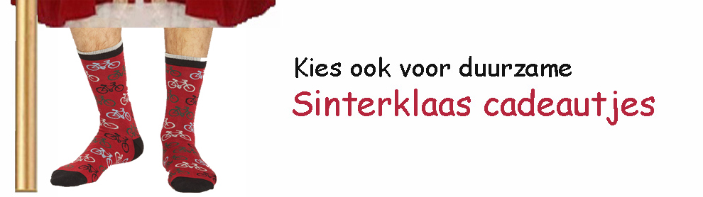 duurzaam Sinterklaas cadeau