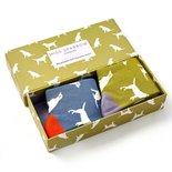 Labrador cadeaudoos 2 paar bamboesokken