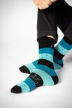 Greenbomb gestreepte herensokken bike hill - blue