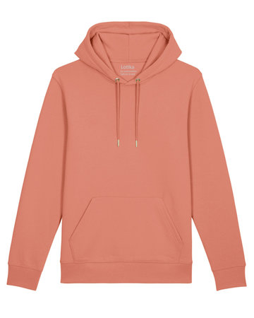 Robin hoodie rose clay