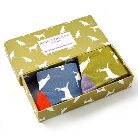 Labrador cadeaudoos 2 paar bamboesokken