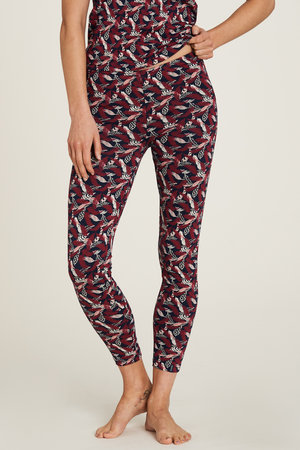 Legging bio katoen Feathers