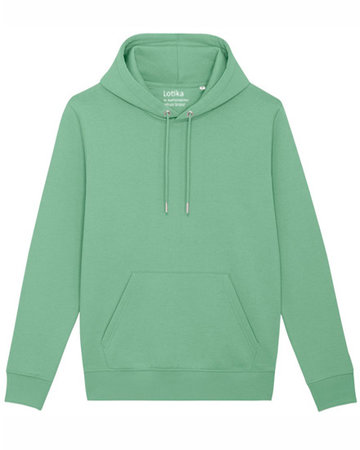 Robin hoodie dusty mint