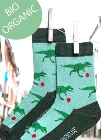 Bio kindersokken met dino's