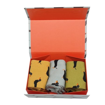 Bamboe damessokken sausage dogs in cadeaudoos