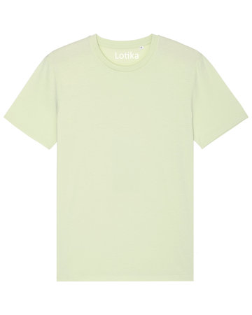 Daan T-shirt biologisch katoen stem green - maat S