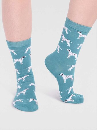 Animal collection sokken giftbox