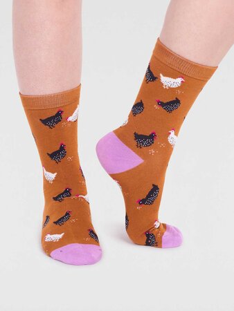 Animal collection sokken giftbox