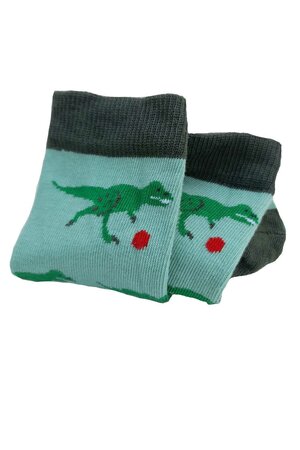 Bio kindersokken met dino's