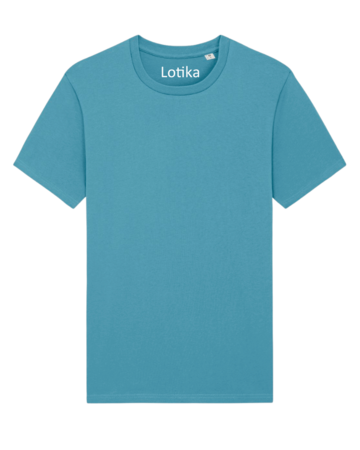 Daan T-shirt biologisch katoen atlantic blue