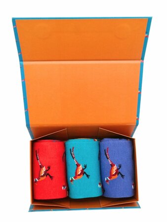 Bamboe sokken cadeaudoos heren - fazanten