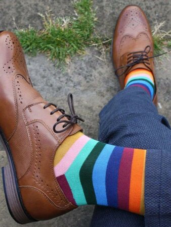 Swole Panda - gestreepte bamboe sokken heren - multi fine