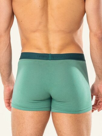 Boxershorts katoen Rodger 2-pack - atlantic - sea - mt XXL