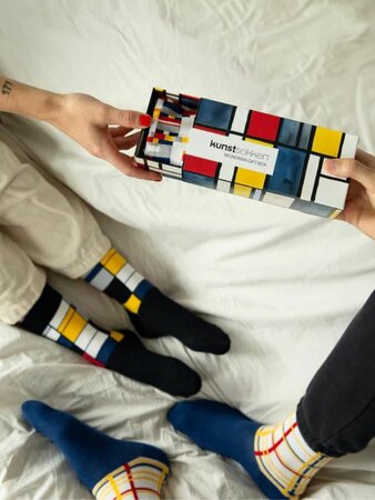 Piet Mondriaan sokken giftbox maat 36-40
