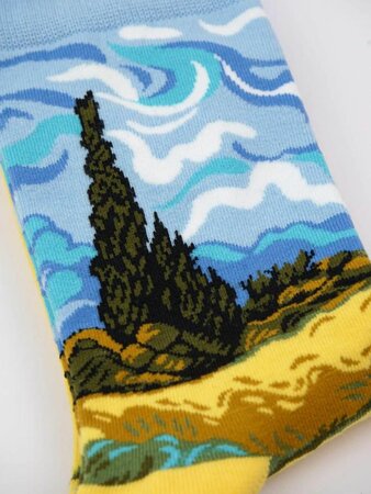 Vincent van Gogh sokken giftbox maat 36-40
