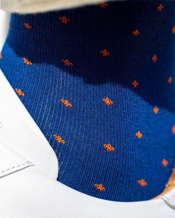 Swole Panda bamboe sokken heren blauw met stippen