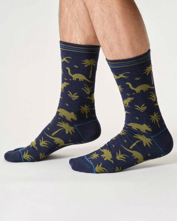Thought heren sokken – Dino giftbox