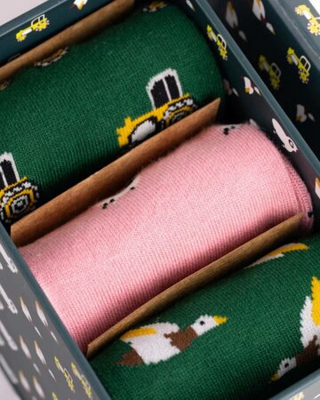 Swole Panda - heren sokken giftbox - boerderij