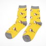 Bamboe sokken cadeaudoos dames - roodborstjes