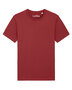 Daan T-shirt biologisch katoen red earth