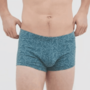 Boxershorts katoen Hogan 2-pack leafs - reef waters