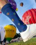 Swole Panda bamboe sokken heren luchtballonnen - blauw